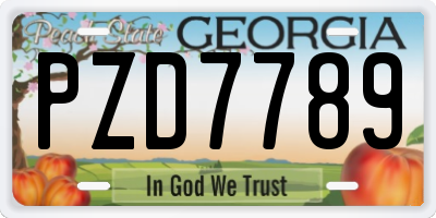 GA license plate PZD7789