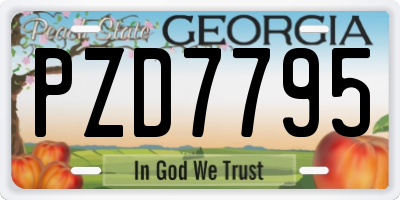 GA license plate PZD7795