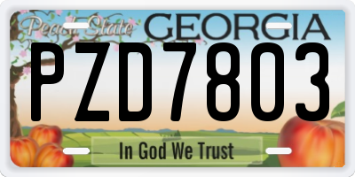 GA license plate PZD7803