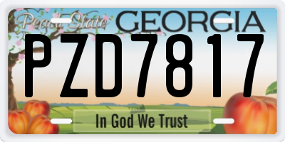 GA license plate PZD7817