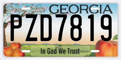 GA license plate PZD7819