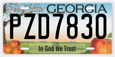 GA license plate PZD7830