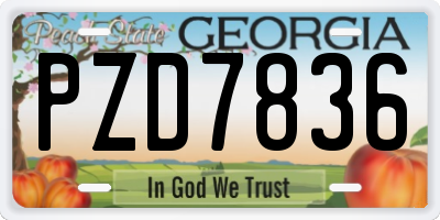 GA license plate PZD7836