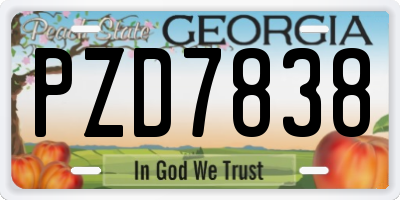 GA license plate PZD7838
