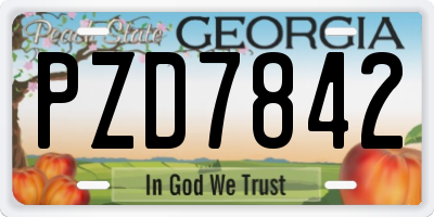 GA license plate PZD7842