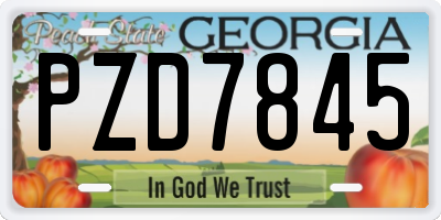 GA license plate PZD7845