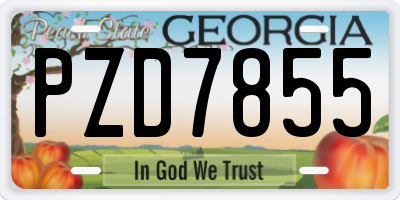 GA license plate PZD7855