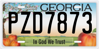 GA license plate PZD7873