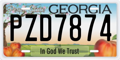 GA license plate PZD7874