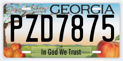 GA license plate PZD7875