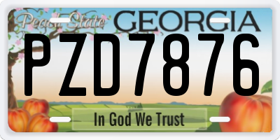 GA license plate PZD7876