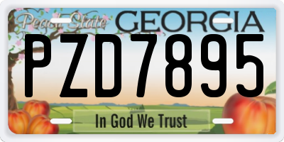 GA license plate PZD7895