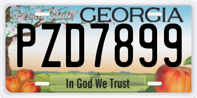 GA license plate PZD7899