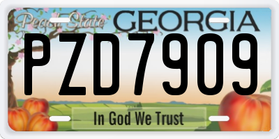 GA license plate PZD7909