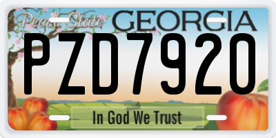 GA license plate PZD7920