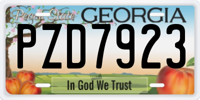 GA license plate PZD7923