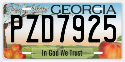 GA license plate PZD7925