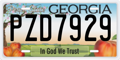 GA license plate PZD7929