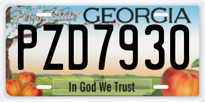GA license plate PZD7930