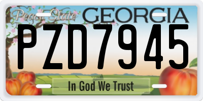 GA license plate PZD7945