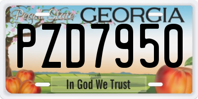 GA license plate PZD7950