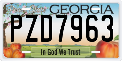 GA license plate PZD7963