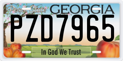 GA license plate PZD7965