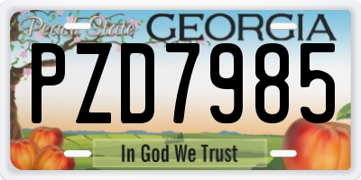 GA license plate PZD7985