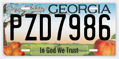 GA license plate PZD7986