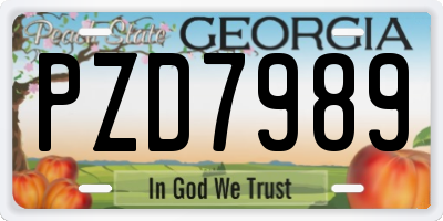 GA license plate PZD7989