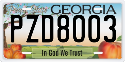 GA license plate PZD8003