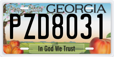 GA license plate PZD8031