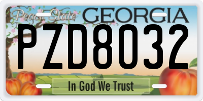 GA license plate PZD8032