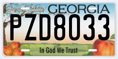 GA license plate PZD8033