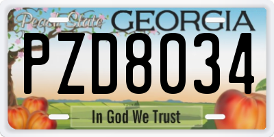 GA license plate PZD8034