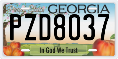 GA license plate PZD8037