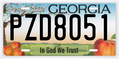 GA license plate PZD8051