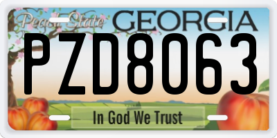 GA license plate PZD8063