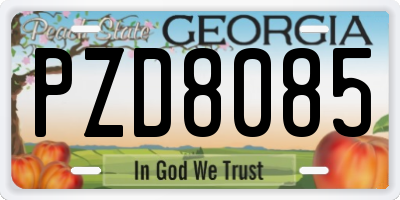 GA license plate PZD8085