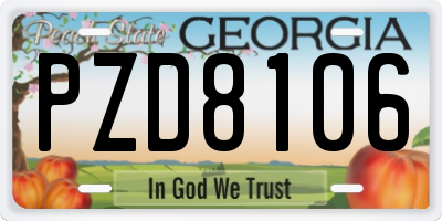 GA license plate PZD8106
