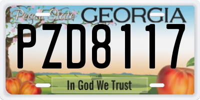 GA license plate PZD8117