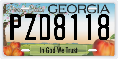 GA license plate PZD8118