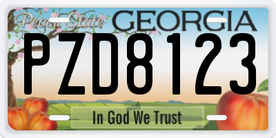 GA license plate PZD8123