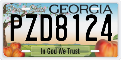 GA license plate PZD8124