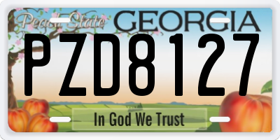 GA license plate PZD8127