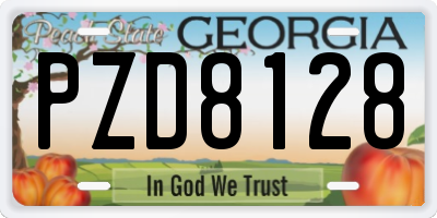 GA license plate PZD8128