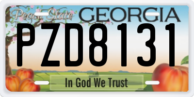 GA license plate PZD8131
