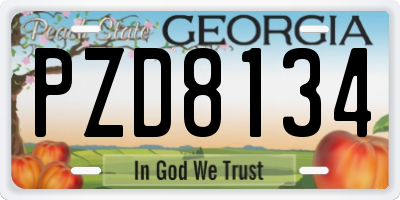GA license plate PZD8134