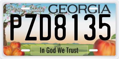 GA license plate PZD8135