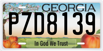 GA license plate PZD8139